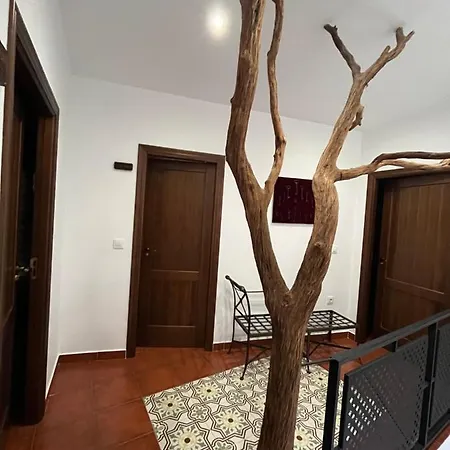 Pelliquerinas Country house *